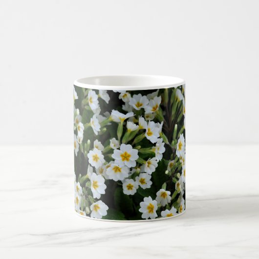 A - Englische Primel Kaffeetasse (Mittel)