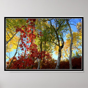 A Fantastic Fall (with border) Poster