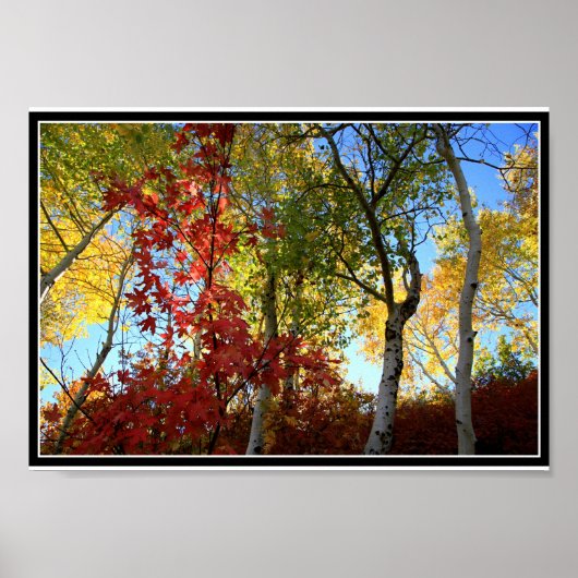A Fantastic Fall (with border) Poster (Vorne)