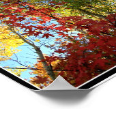 A Fantastic Fall (with border) Poster (Ecke)