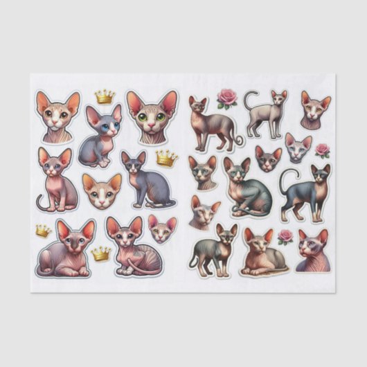 A Fantastic Mix of Hairless Cats Illustrations Seidenpapier (Vorderseite)