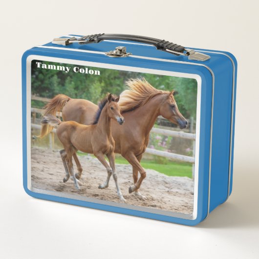 A Filly und ihre Mama Metall Brotdose (Vorderseite)