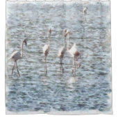 A Flamboyant Pat of Flamingos Duschvorhang (Vorderseite)