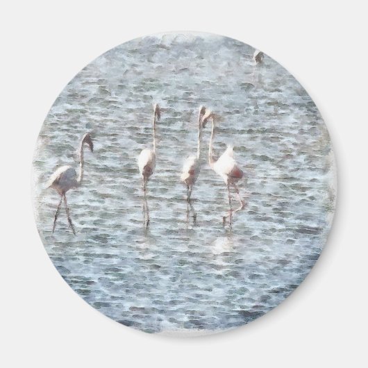 A Flamboyant Pat of Flamingos Magnet (Vorne)