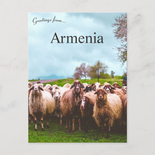 A Flock of Sheep in Kotayk Province Armenia Postkarte (Vorderseite)