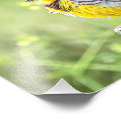 A Fluffy Meadowlark Fotodruck (Ecke)
