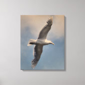A flying seagull on Stretched Canvas Print Leinwanddruck (Vorderseite)