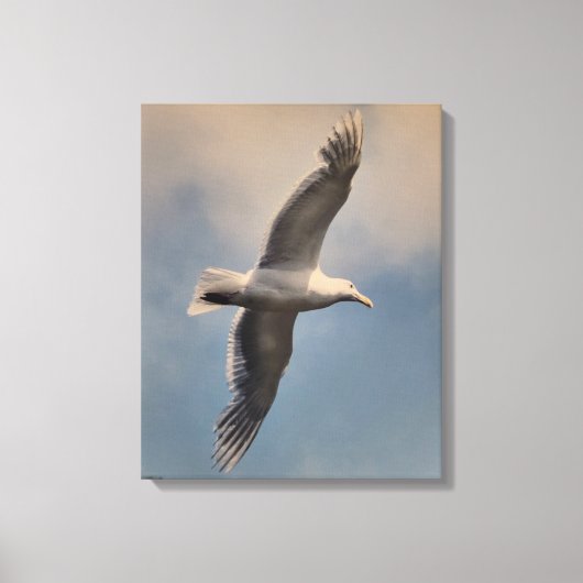 A flying seagull on Stretched Canvas Print Leinwanddruck (Vorderseite)