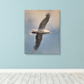 A flying seagull on Stretched Canvas Print Leinwanddruck (Insitu (Holzboden))