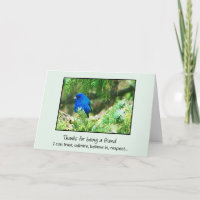 A Friend I Can Trust...