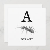 ‚A‘ für Ant (Vorne/Hinten)