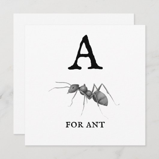 ‚A‘ für Ant (Vorne/Hinten)