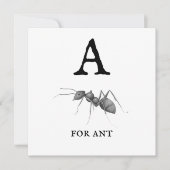 ‚A‘ für Ant (Vorderseite)