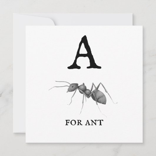 ‚A‘ für Ant (Vorderseite)