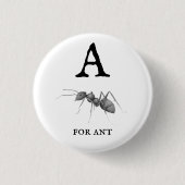 ‚A‘ für Ant Button (Vorderseite)