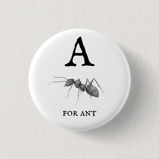 ‚A‘ für Ant Button (Vorderseite)