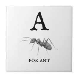 ‚A‘ für Ant Fliese