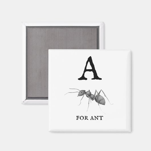 ‚A‘ für Ant Magnet (Vorderseite/Rückseite)