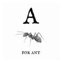 "A" für Ant Poster