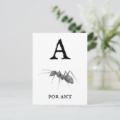 ‚A‘ für Ant Postkarte (Stehend Vorderseite)