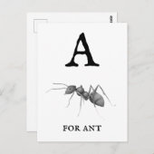 ‚A‘ für Ant Postkarte (Vorne/Hinten)