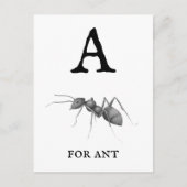 ‚A‘ für Ant Postkarte (Vorderseite)