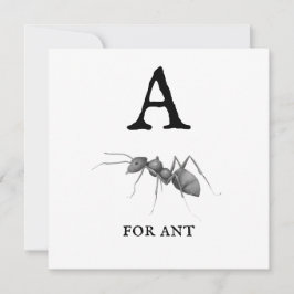 "A" für die Ant-Flachkarte