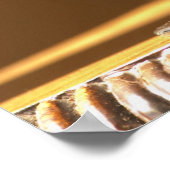 A glass of red Chateau Belgrave in sunlight - Poster (Ecke)