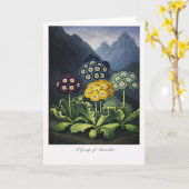 A Group of Auriculas — Modern Botanical Reinterpre Karte (Gelbe Blume)