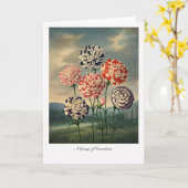 A Group of Carnations — Modern Botanical Reinterpr Karte (Gelbe Blume)
