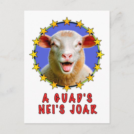 A guads neis Johr Postkarte (Vorderseite)