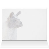 A Happy Llama (Innenansicht Horizontal (Oben))