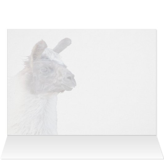 A Happy Llama (Innenansicht Horizontal (Oben))