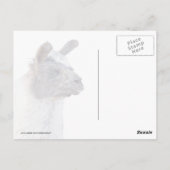 A Happy Llama Postkarte (Rückseite)