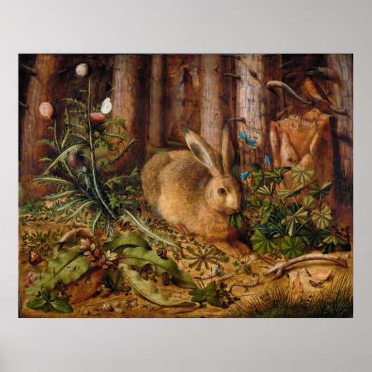 A Hare in Forest von Hans Hoffmann Poster (Vorne)