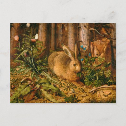 A Hare in Forest von Hans Hoffmann Postkarte (Vorderseite)