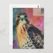 A Hawk Postkarte (Vorne/Hinten)