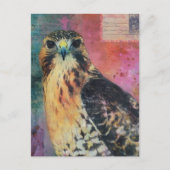 A Hawk Postkarte (Vorderseite)