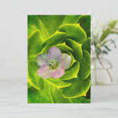A Hellebore, a Lenten Rose Einladung (Stehend Vorderseite)