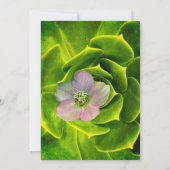 A Hellebore, a Lenten Rose Einladung (Rückseite)