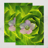 A Hellebore, a Lenten Rose Einladung (Vorne/Hinten)
