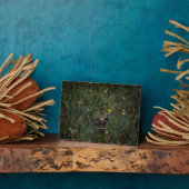 A Horned Lark Fotoplatte (Seite)