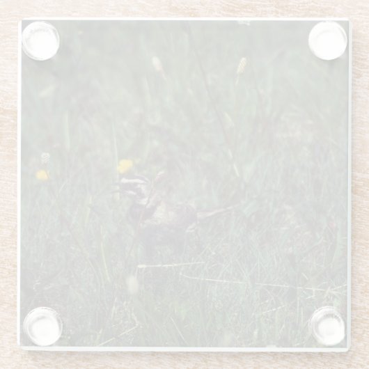 A Horned Lark Glasuntersetzer (Rückseite)