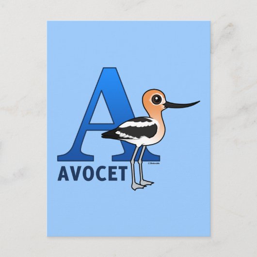 A ist für Avocet Postkarte (Vorderseite)