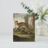 A Jaguar Postkarte (Stehend Vorderseite)