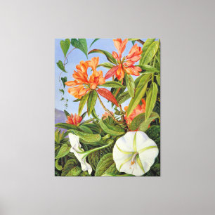 A Javan Rhododendrum und Ipomoea Leinwanddruck