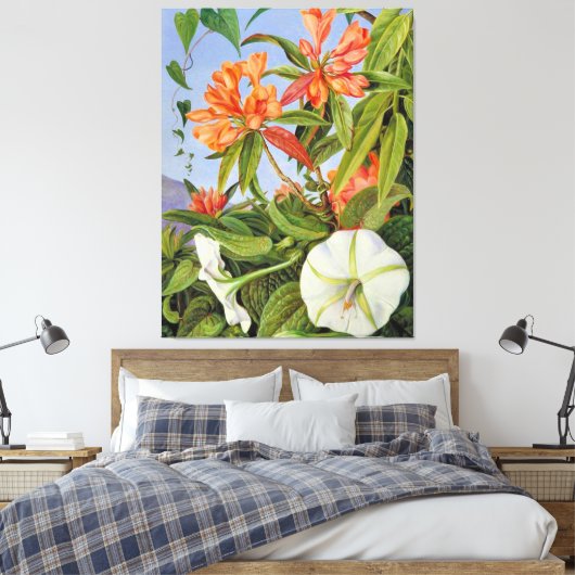 A Javan Rhododendrum und Ipomoea Leinwanddruck (Insitu (Schlafzimmer))