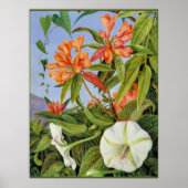 A Javan Rhododendrum und Ipomoea Poster (Vorne)