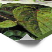 A Javan Rhododendrum und Ipomoea Poster (Ecke)