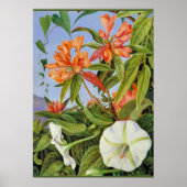A Javan Rhododendrum und Ipomoea Poster (Vorne)